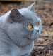 Donna showing off her lovely eye colour